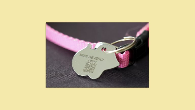 Free Cat Or Dog ID Tag Engraved With Your Pets Name