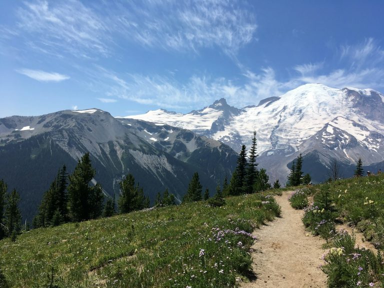 Free Entrance To Any U.S. National Park (11/11/24)