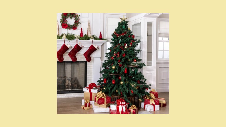 3 Winners Will Receive a $5,000 Cat-Friendly Christmas Tree – Giveaway by Nestlé Purina