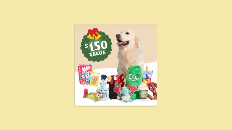 36 People Will Each Win A $150 Target Gift Card In The Year of BARK Holiday Sweepstakes 2024