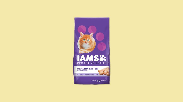 Free IAMS Kitten Dry Food Sample (No Shipping Fee)